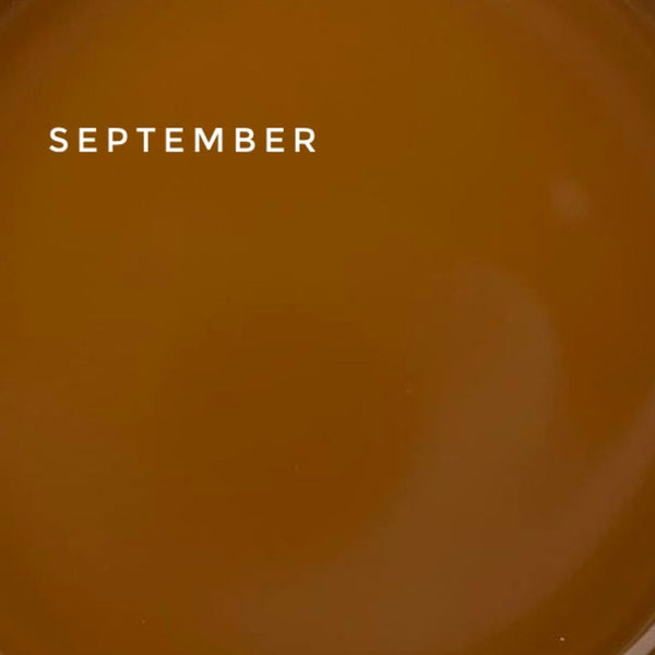 Touch Cover base September (without brush) 15ml