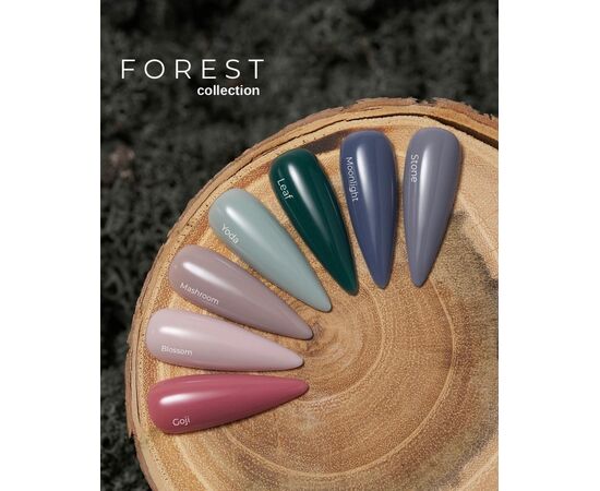 HELLO TINT BASE BLOSSOM, 15 МЛ HL-TB15-051