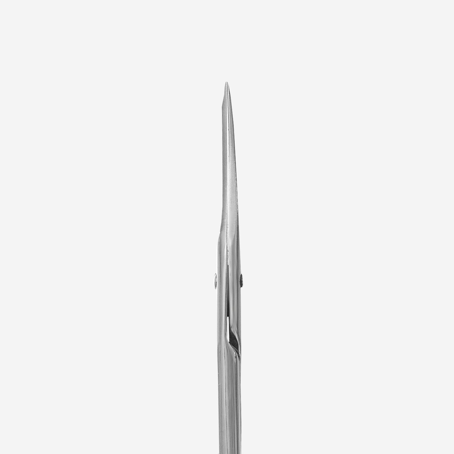 Straight multi-purpose scissors Staleks Classic 31 Type 1 SC-31/1